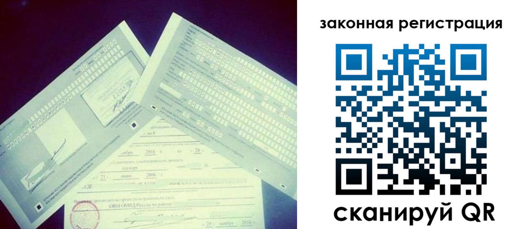 прописка в Дубне